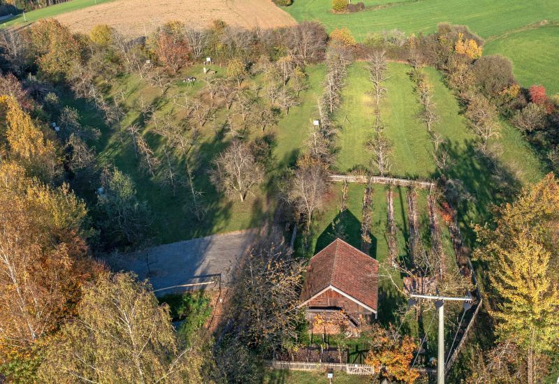 Entdeckertour für die ganze Familie im Kreisobstlehrgarten Neukirchen